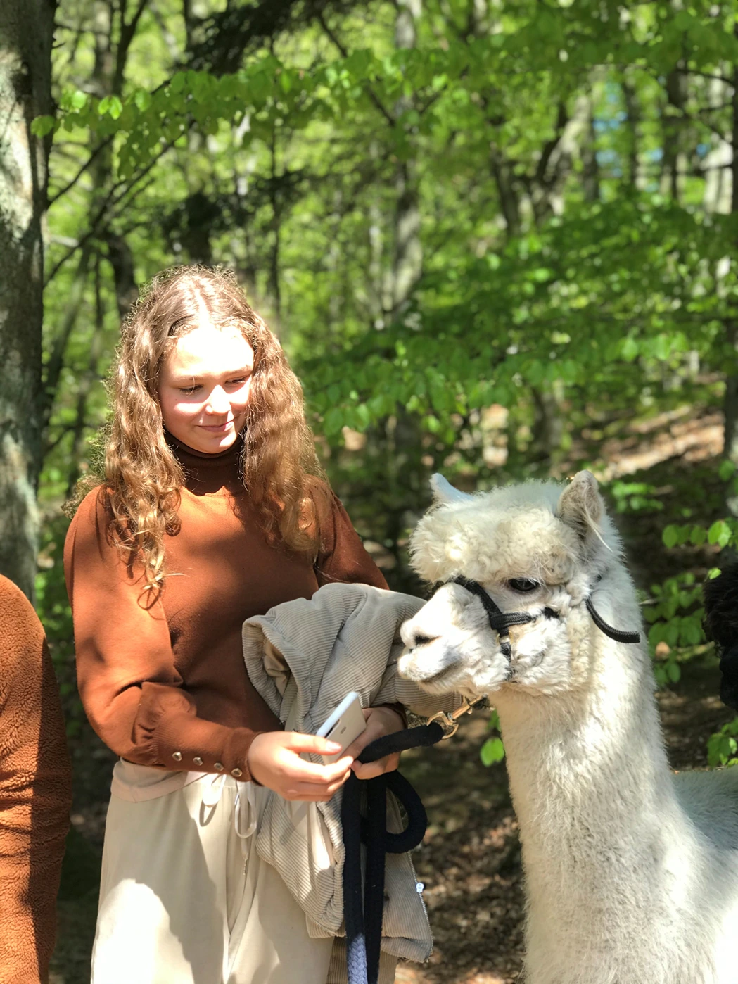 W-n-T_pige og alpaca