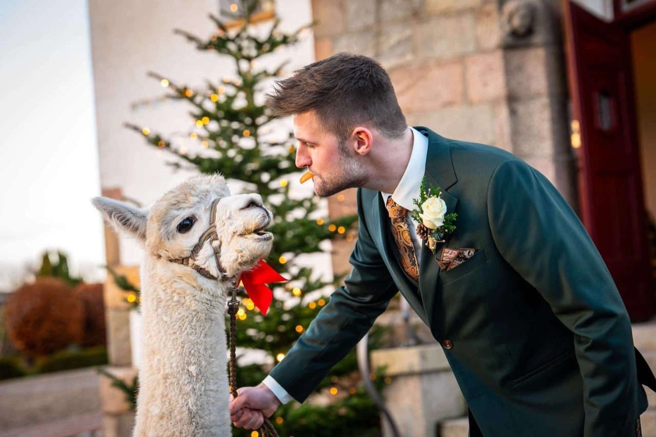 45f90ac4562a81545a42fc8f4e9b3e49