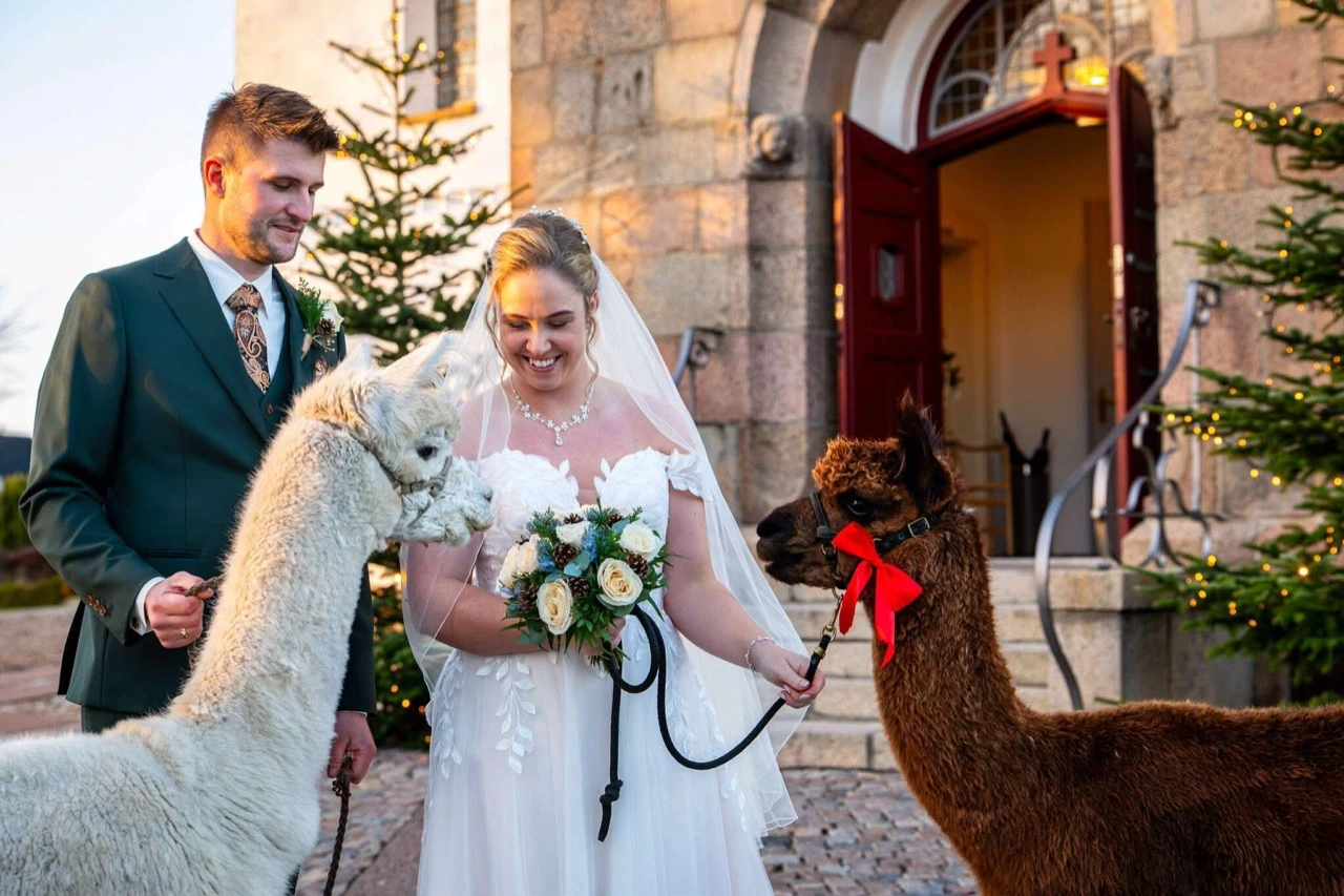 7387f25d42fee94c014567cf16077547-1